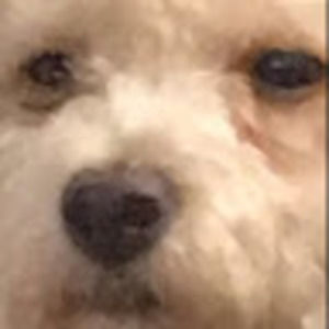 Meet your Posher, Sahnha